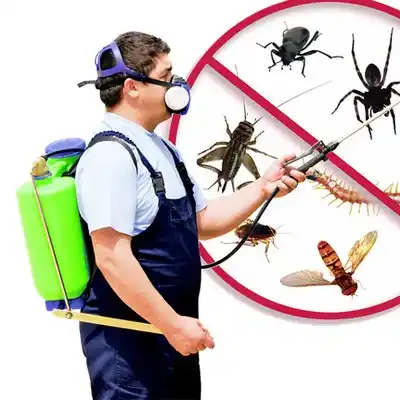 pest control Hilltop